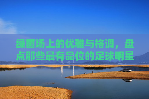 绿茵场上的优雅与格调,盘点那些最有品位的足球明星