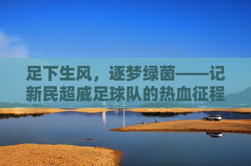 足下生风,逐梦绿茵——记新民超威足球队的热血征程