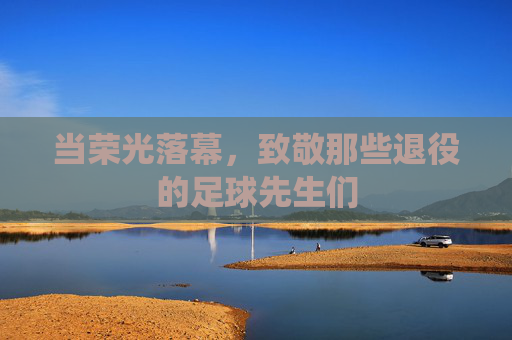 当荣光落幕,致敬那些退役的足球先生们