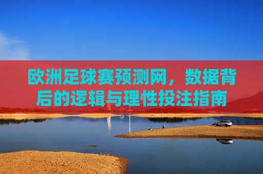 欧洲足球赛预测网，数据背后的逻辑与理性投注指南