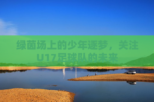 绿茵场上的少年逐梦,关注U17足球队的未来