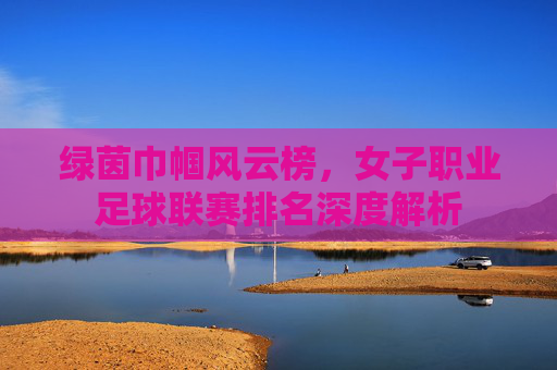 绿茵巾帼风云榜,女子职业足球联赛排名深度解析