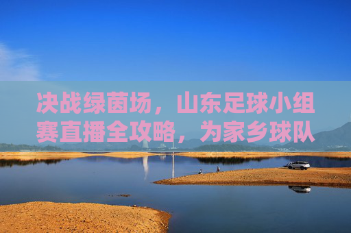 决战绿茵场,山东足球小组赛直播全攻略,为家乡球队呐喊助威