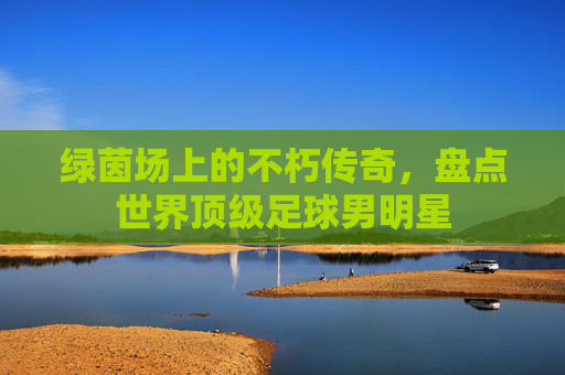 绿茵场上的不朽传奇,盘点世界顶级足球男明星