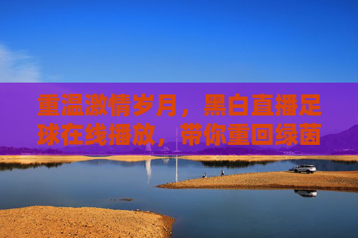 重温激情岁月,黑白直播足球在线播放,带你重回绿茵场