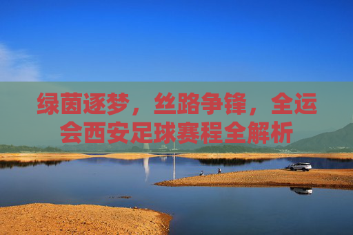 绿茵逐梦,丝路争锋,全运会西安足球赛程全解析