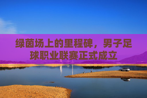 绿茵场上的里程碑,男子足球职业联赛正式成立
