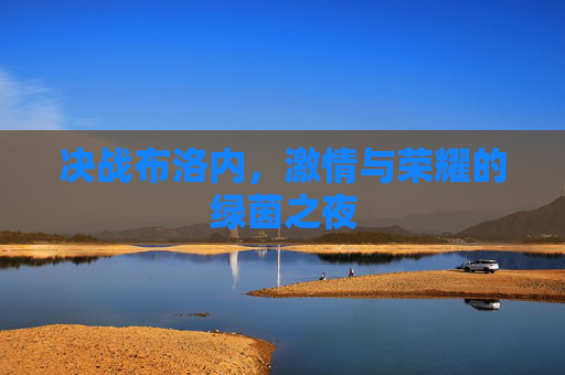 决战布洛内,激情与荣耀的绿茵之夜