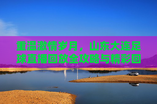 重温激情岁月,山东大连足球直播回放全攻略与精彩回顾