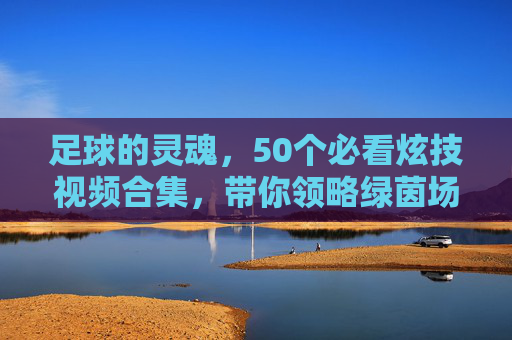 足球的灵魂,50个必看炫技视频合集,带你领略绿茵场上的艺术