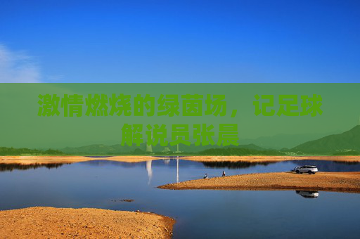 激情燃烧的绿茵场,记足球解说员张晨