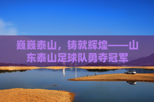 巍巍泰山,铸就辉煌——山东泰山足球队勇夺冠军
