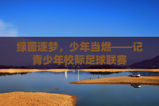 绿茵逐梦,少年当燃——记青少年校际足球联赛