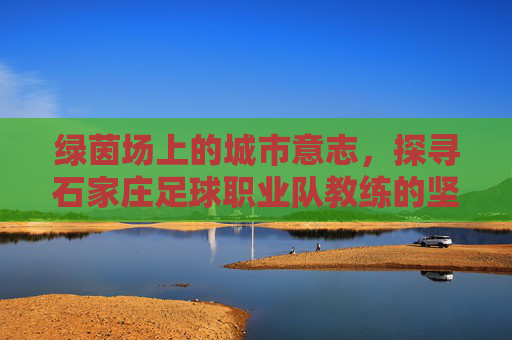 绿茵场上的城市意志,探寻石家庄足球职业队教练的坚守与使命