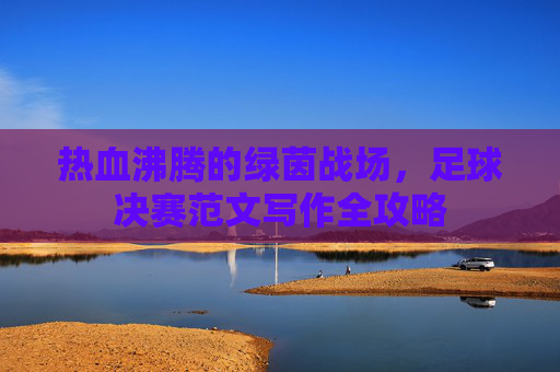 热血沸腾的绿茵战场,足球决赛范文写作全攻略
