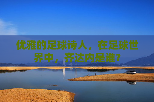 优雅的足球诗人,在足球世界中,齐达内是谁?