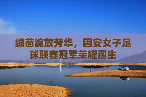 绿茵绽放芳华,固安女子足球联赛冠军荣耀诞生