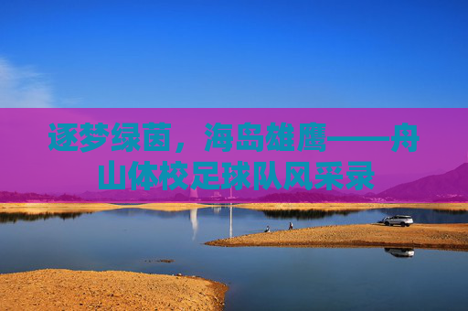逐梦绿茵，海岛雄鹰——舟山体校足球队风采录