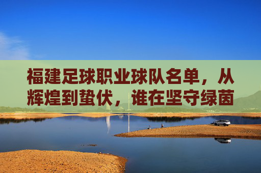 福建足球职业球队名单,从辉煌到蛰伏,谁在坚守绿茵梦?