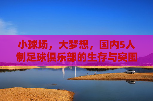 小球场,大梦想,国内5人制足球俱乐部的生存与突围