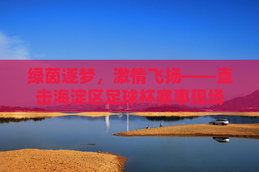 绿茵逐梦,激情飞扬——直击海淀区足球杯赛事现场