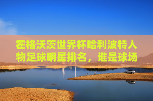 霍格沃茨世界杯哈利波特人物足球明星排名,谁是球场上的霍格沃茨梅西?