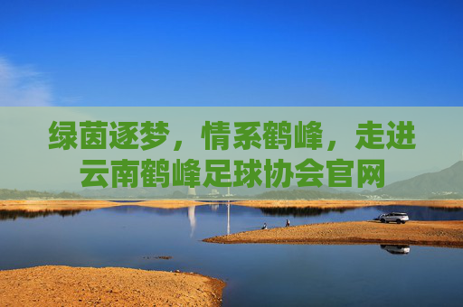 绿茵逐梦,情系鹤峰,走进云南鹤峰足球协会官网