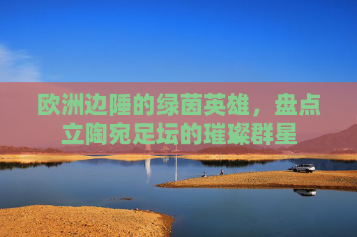 欧洲边陲的绿茵英雄,盘点立陶宛足坛的璀璨群星