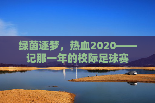 绿茵逐梦,热血2020——记那一年的校际足球赛