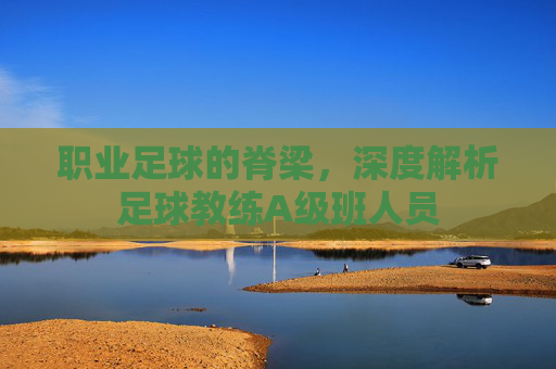 职业足球的脊梁,深度解析足球教练A级班人员
