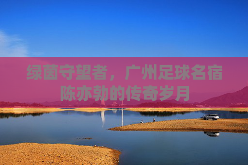 绿茵守望者,广州足球名宿陈亦勃的传奇岁月