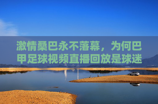 激情桑巴永不落幕,为何巴甲足球视频直播回放是球迷的终极乐园