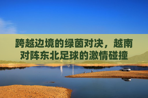 跨越边境的绿茵对决,越南对阵东北足球的激情碰撞