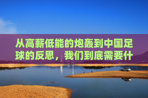 从高薪低能的炮轰到中国足球的反思,我们到底需要什么?