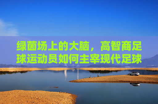 绿茵场上的大脑,高智商足球运动员如何主宰现代足球