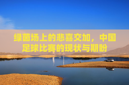 绿茵场上的悲喜交加,中国足球比赛的现状与期盼