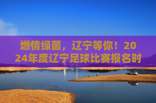 燃情绿茵,辽宁等你!2024年度辽宁足球比赛报名时间全攻略