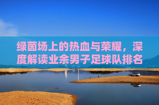 绿茵场上的热血与荣耀,深度解读业余男子足球队排名