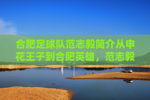 合肥足球队范志毅简介从申花王子到合肥英雄，范志毅的绿茵传奇与桂冠岁月