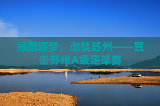 绿茵逐梦，激情苏州——直击苏州A级足球赛