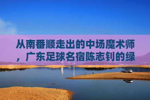 从南番顺走出的中场魔术师，广东足球名宿陈志钊的绿茵人生