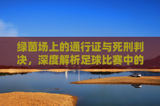 绿茵场上的通行证与死刑判决,深度解析足球比赛中的黄牌与红牌