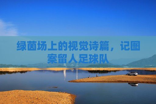 绿茵场上的视觉诗篇,记图案留人足球队