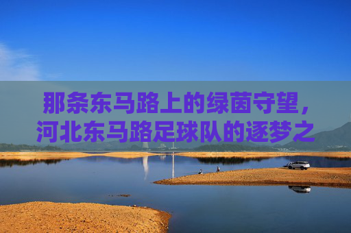 那条东马路上的绿茵守望，河北东马路足球队的逐梦之路