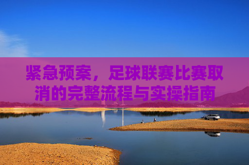 紧急预案,足球联赛比赛取消的完整流程与实操指南