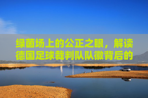绿茵场上的公正之眼,解读德国足球裁判队队徽背后的精神图腾