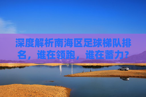 深度解析南海区足球梯队排名，谁在领跑，谁在蓄力？
