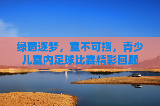 绿茵逐梦，室不可挡，青少儿室内足球比赛精彩回顾