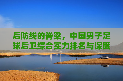 后防线的脊梁,中国男子足球后卫综合实力排名与深度解析
