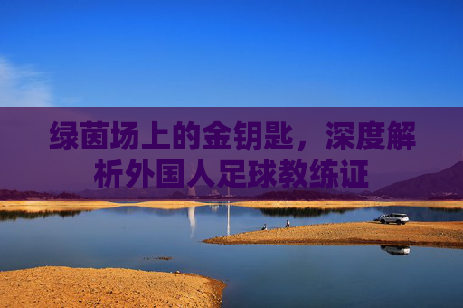 绿茵场上的金钥匙,深度解析外国人足球教练证